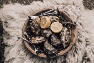 Oyster Forks - Anovi