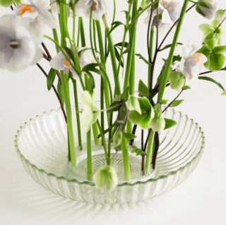 Acrylic Kenzan Ring – 150 mm Flower Frog Hanataba