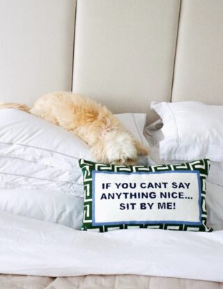 If You Can't Say Anything Nice...Sit By Me Needlepoint Cushion