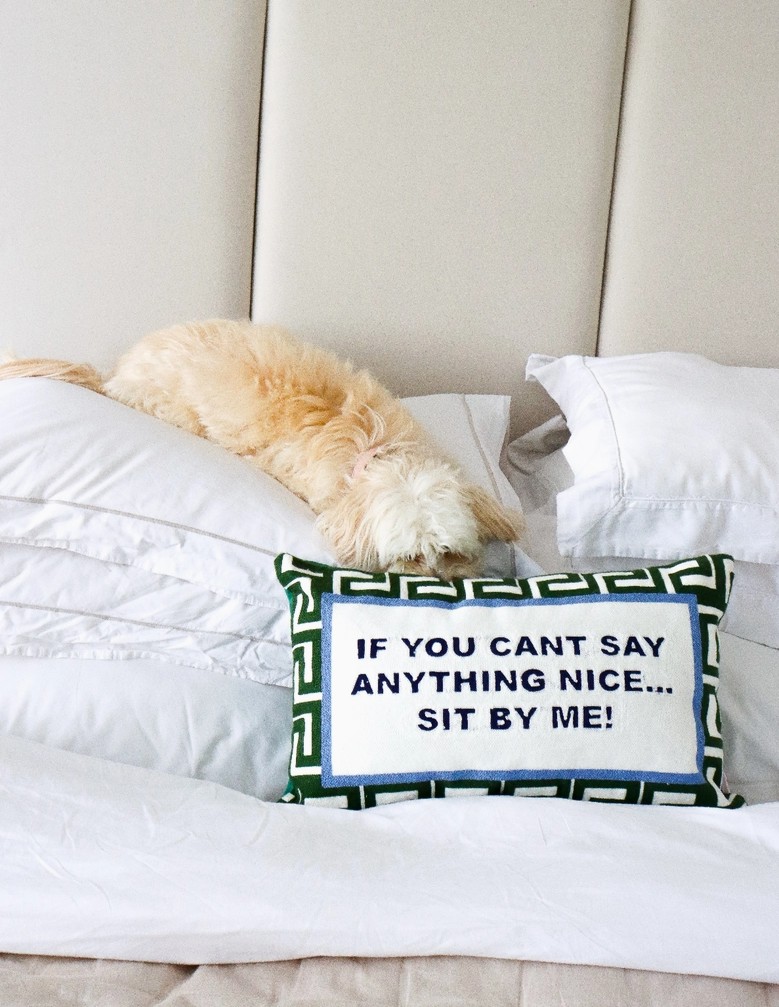 If you can't say anything nice pillow on a bed wity dog
