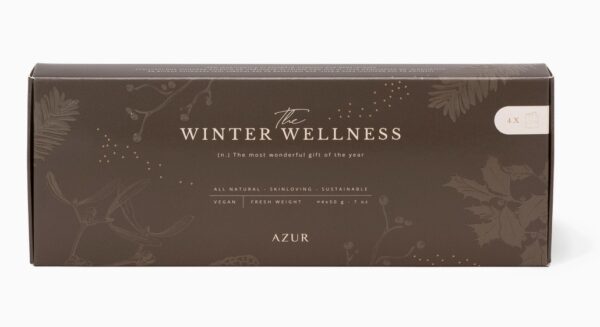 Winter Wellness Gift Set with four natural mini soaps in festive packaging.