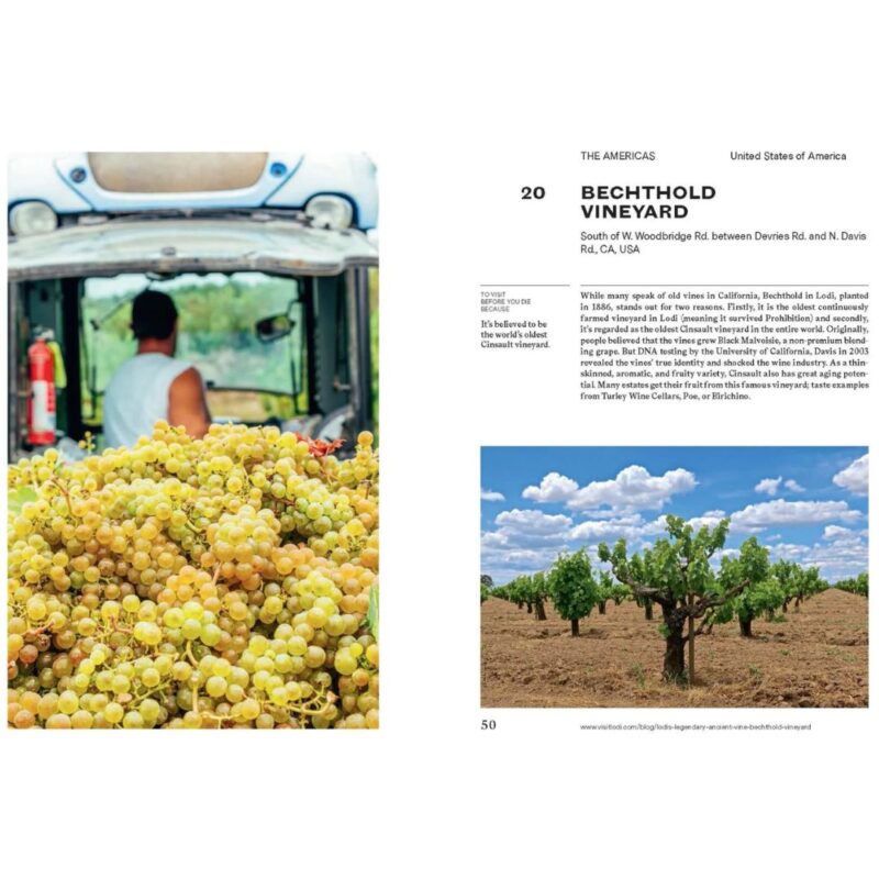Vineyard coffee table book featuring beautiful vineyards from around the world