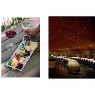 150 Vineyards - You need to visit before you die