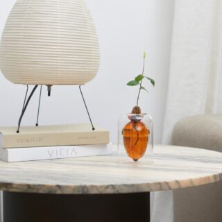 Seed grower Acorn Vase brown - Balvi