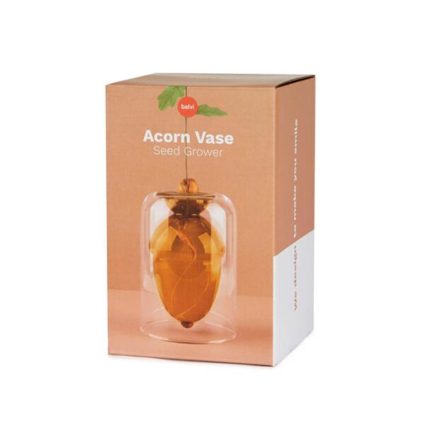 Glass seed grower acorn vase by Balvi for growing an oak tree from an acorn