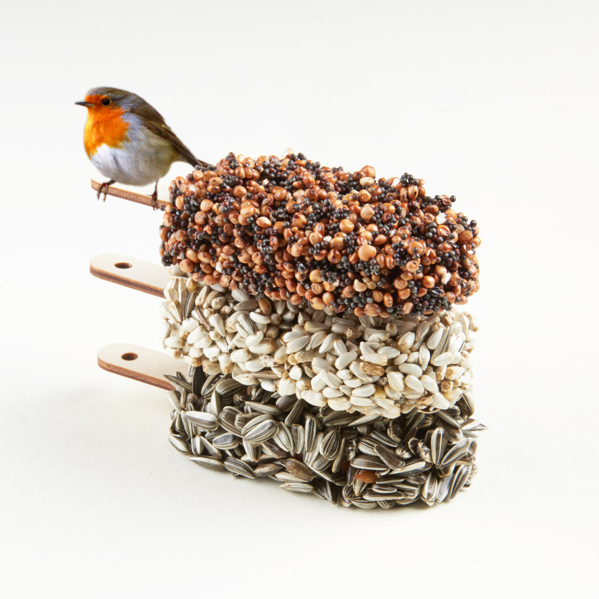 Indian Summer bird seed ice cream gift for garden birds
