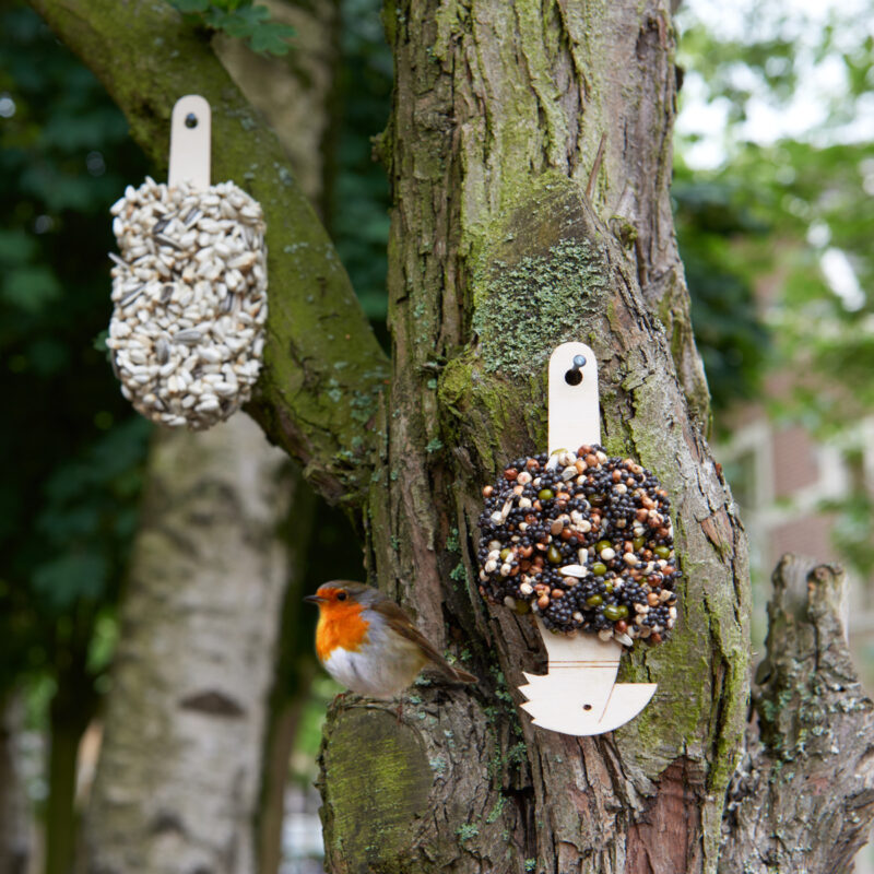 Desserts for Birds Mixed Temptation bird dessert with mixed seeds