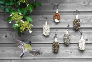 Desserts for Birds - Delicious Red