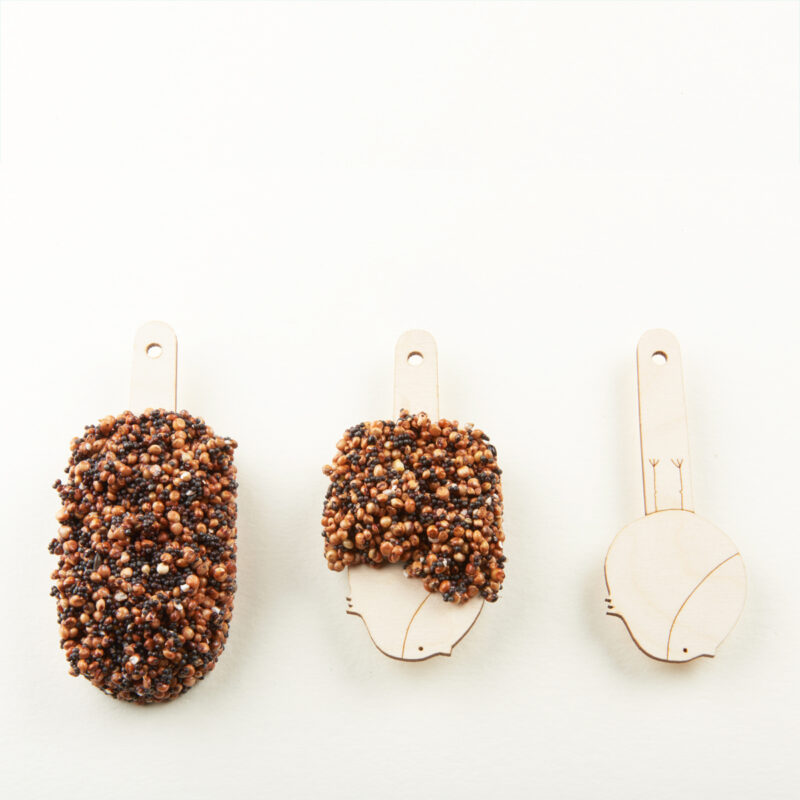 Desserts for Birds Mixed Temptation bird dessert with mixed seeds