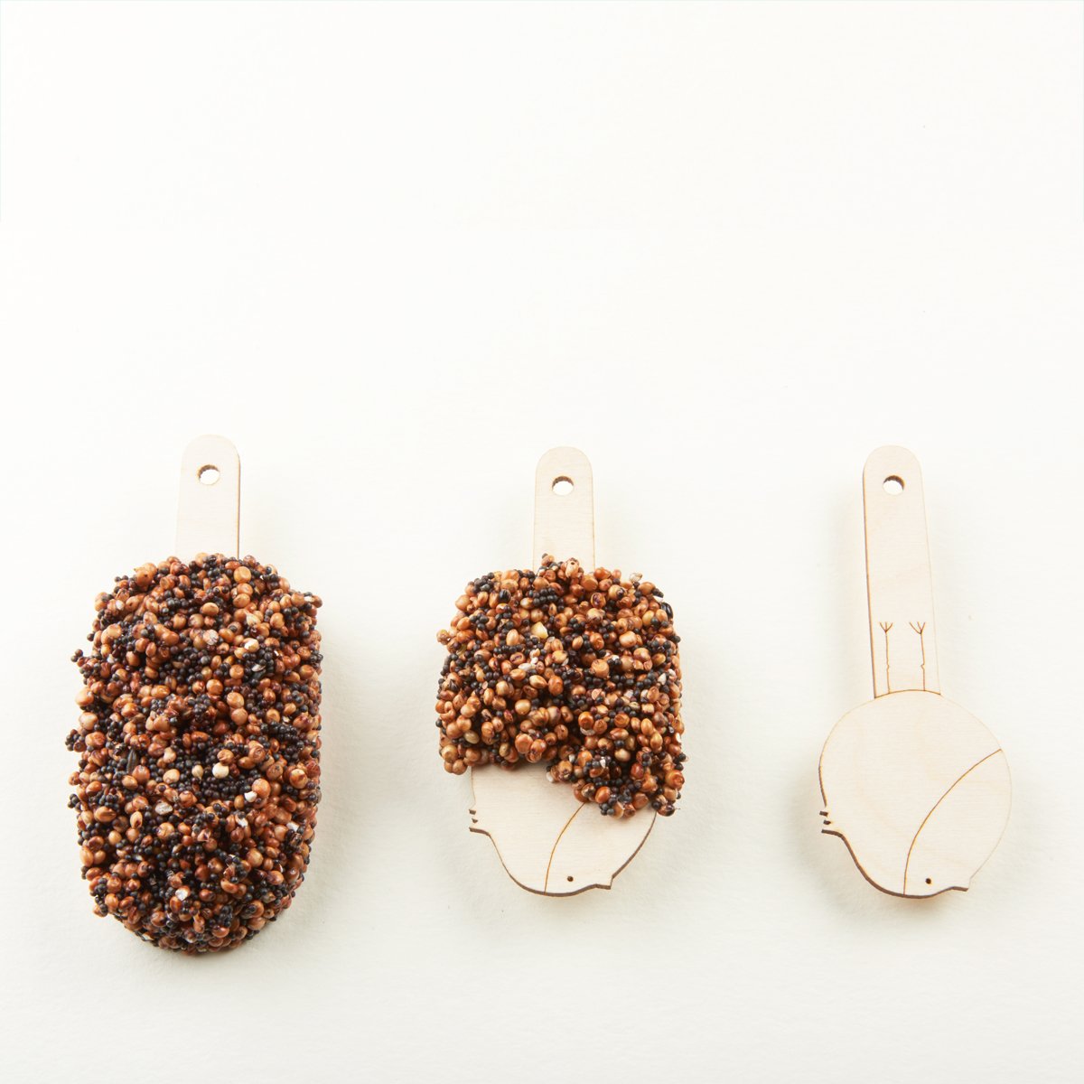 Desserts for Birds Mixed Temptation bird dessert with mixed seeds