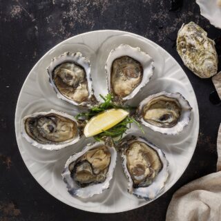 Oyster plate 23,5cm - Appetite
