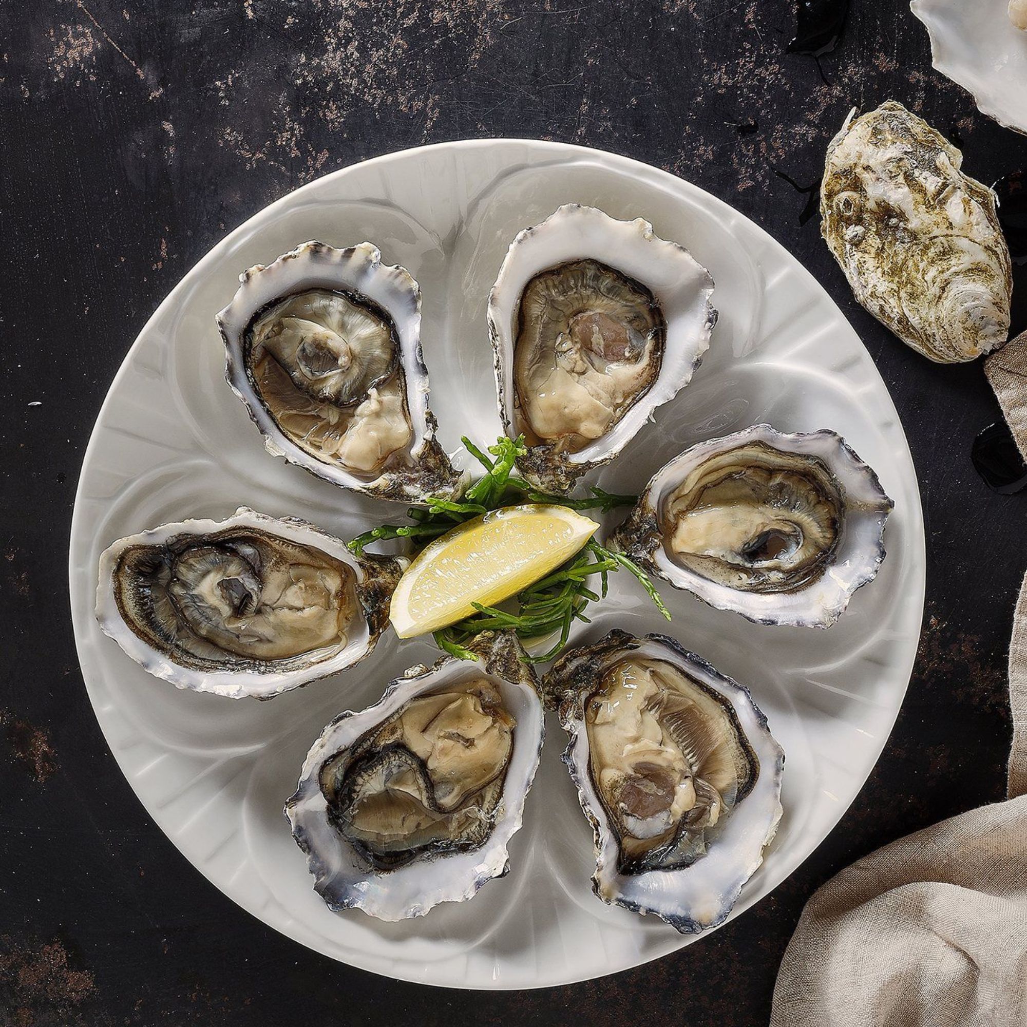 White porcelain oyster plate 23.5 cm from the Appetite collection with compartments for serving oysters